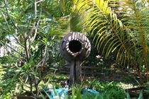 Sandies Bathala Maldives Bathala Island Ngoại thất bức ảnh